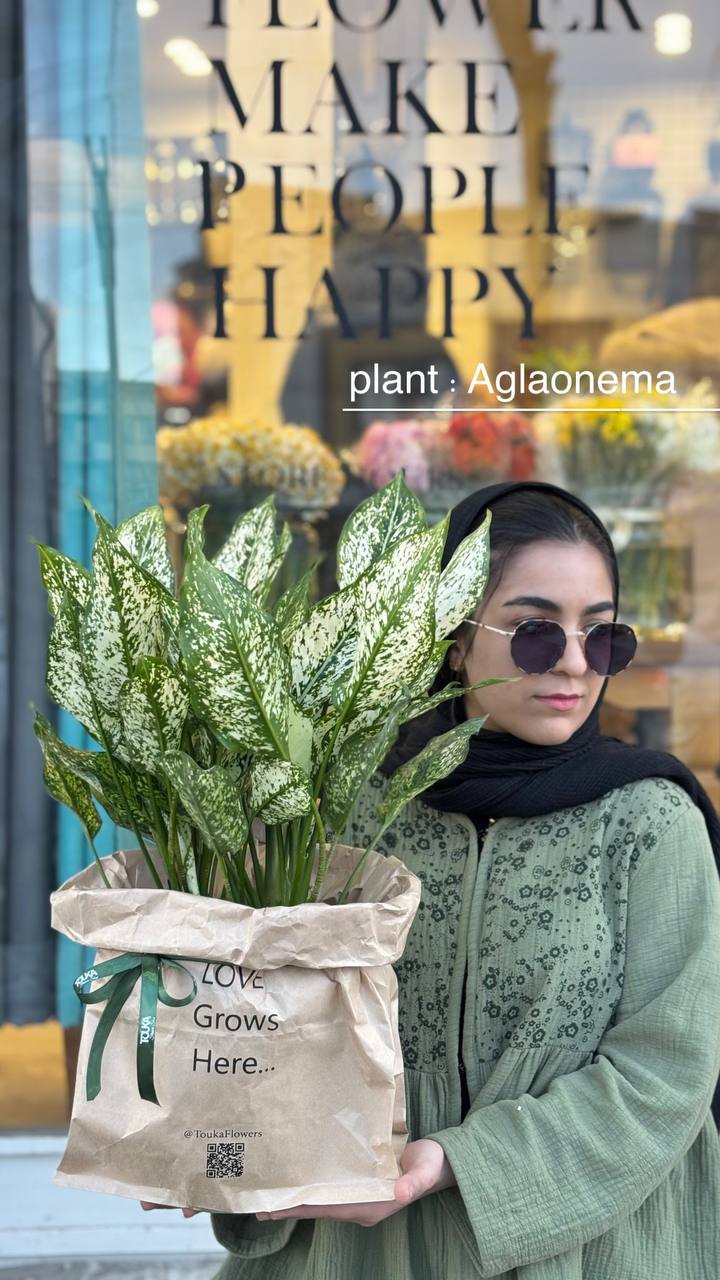 گا آپارتمانی