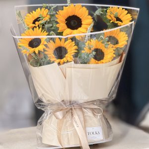 بوکت آفتاب گردون