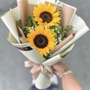 مینیمال آفتاب گردون
