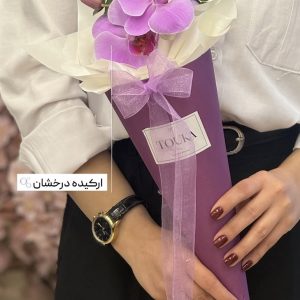 قیف ارکیده