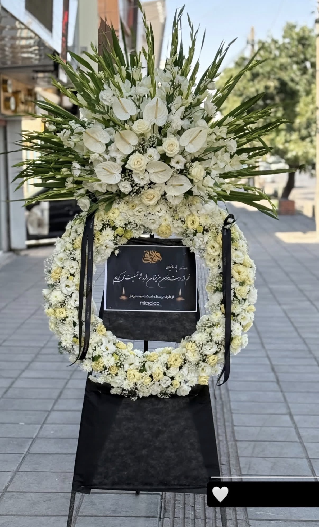 پایه تاج دار