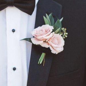 گل یقه رز مینیاتوری
