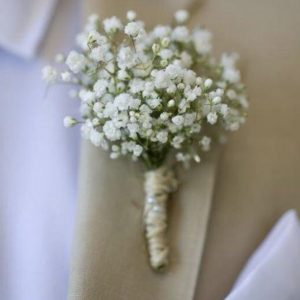 گل یقه ژپیسوفیلیا