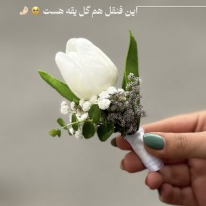 گل یقه لاله