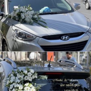 مدل هلال همراه با برچسب