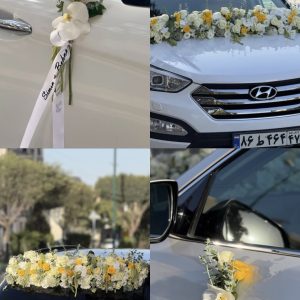 مدل خطی صاف