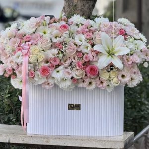 باکس سایز بزرگ