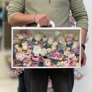 باکس چمدونی
