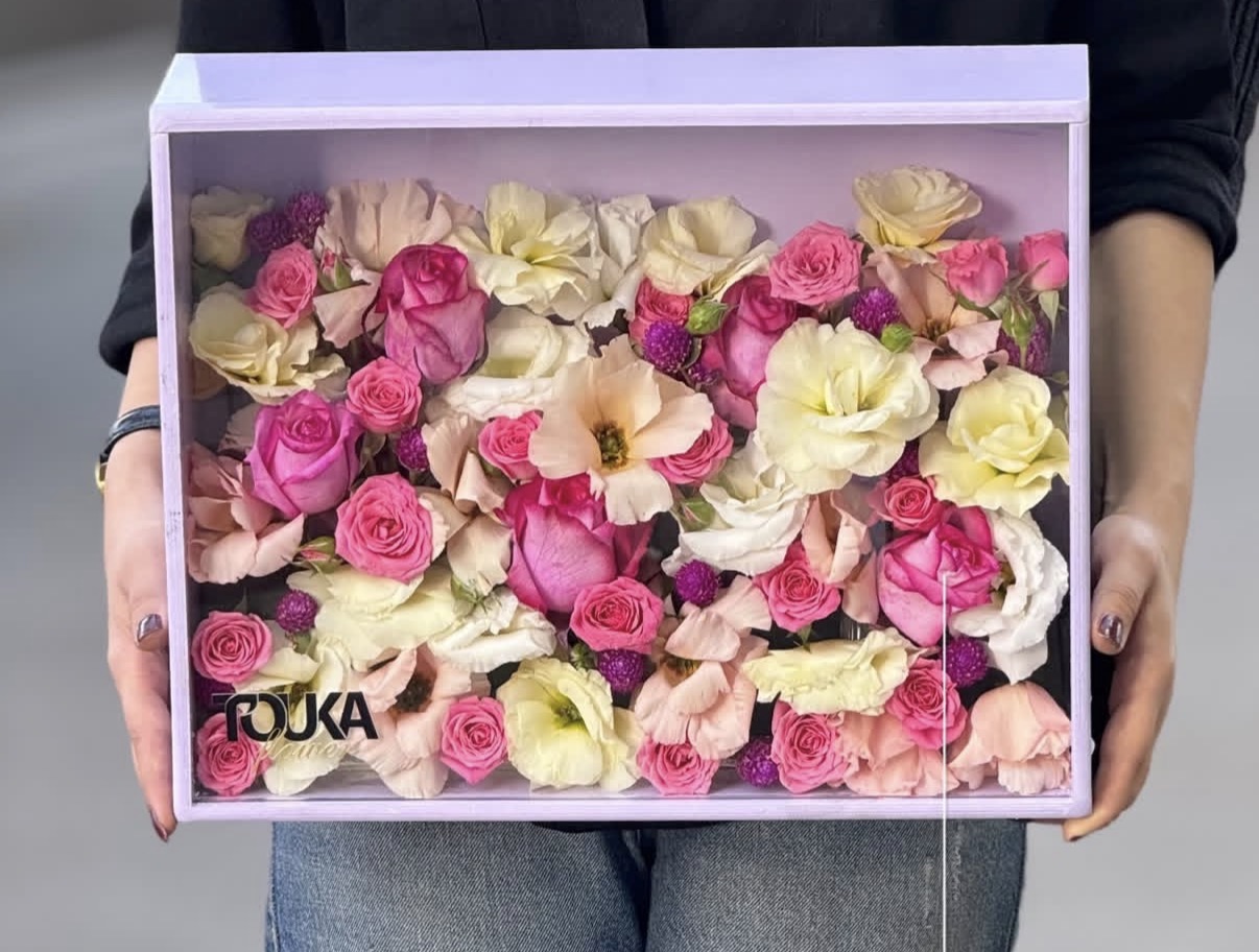 باکس چمدونی