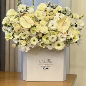 باکس سفید نباتی