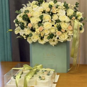 باکس سفیدنباتی