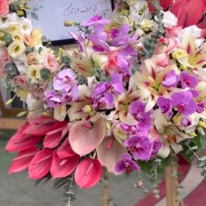 استند تبریک